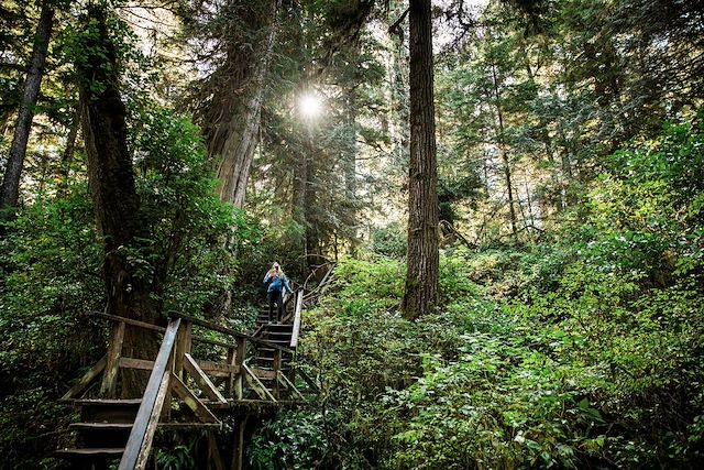 Voyage Découverte de l'île de Vancouver