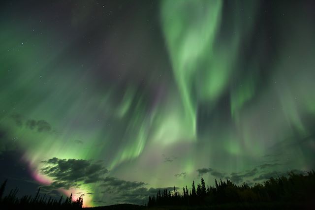 Voyage Yukon, l'appel du loup 