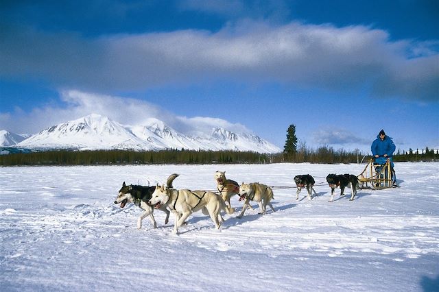 Voyage Yukon, l'appel du loup 