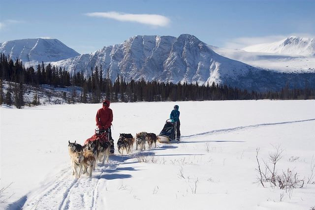 Voyage Yukon, l'appel du loup 