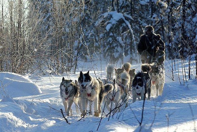 Voyage Sur la piste des coureurs des bois