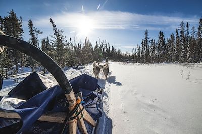 Expédition en chiens de traîneau - Québec - Canada