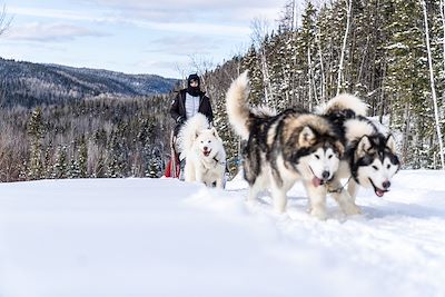 Expédition en chiens de traîneau - Québec - Canada