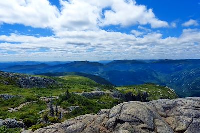 Parc national des Hautes-Gorges de la rivière Malbaie - Québec - Canada