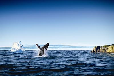 Voyage Terre neuve et Labrador