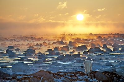 Voyage Manitoba & baie d'Hudson