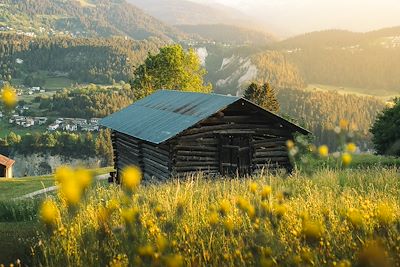 Valendas - Canton des Grisons - Suisse