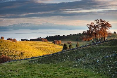 Jura neuchâtelois, vue sur les Alpes et le Mont Blanc - Suisse