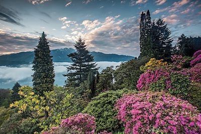 Parc San Grato - Canton du Tessin - Suisse