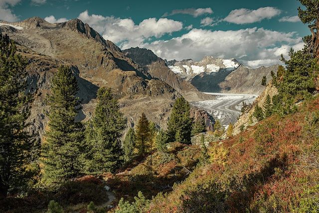 Voyage Sentier panoramique du glacier d’Aletsch