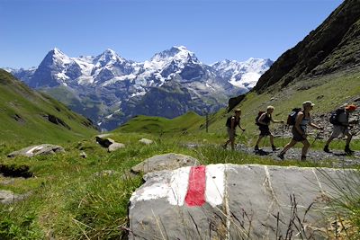 Vue sur l'Eiger, le Moench et la Jungfrau - Suisse