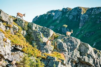 Beatenberg - Canton de Berne - Suisse