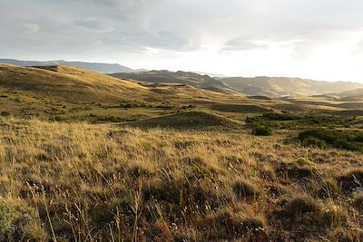 Steppe Patagonienne au coucher de soleil - Patagonie - Argentine