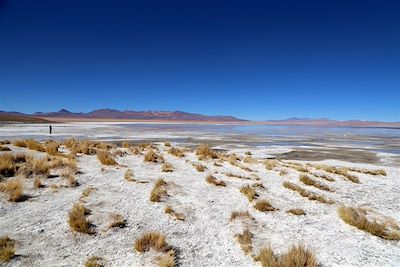 Lagune - Sud Lipez - Bolivie