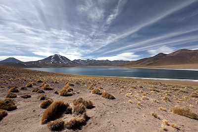 Laguna Miscanti - San Pedro de Atacama - Chili