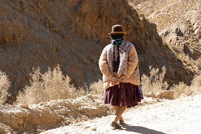 Traversée de l'Altiplano - Bolivie