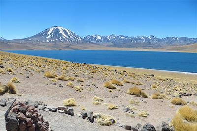 Laguna Miscanti et le volcan Miñiques - Chili