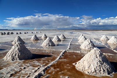 Exploitation de sel - Colchani - Bolivie