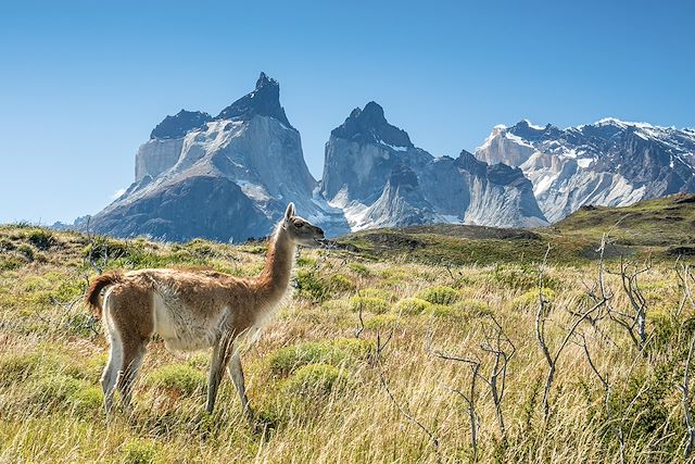 Voyage Trek du Fitz Roy à la Terre de Feu