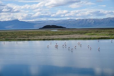 Laguna Nimez - El Calafate - Argentine