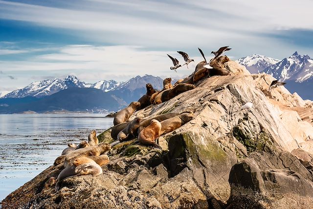 Voyage Mystérieuse Patagonie, Ushuaia et chutes d'Iguazu