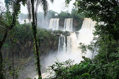 Chutes d'Igazu côté brésilien - Brésil