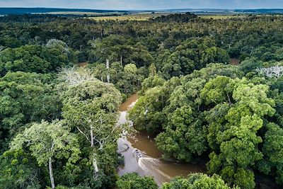 Mboko Camp - Parc national d'Odzala-Kokoua - Congo