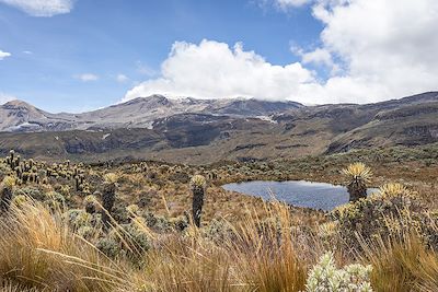 Los Nevados - Colombie