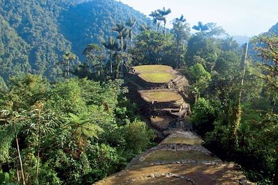 Ciudad Perdida - Colombie