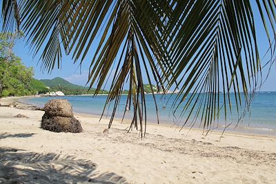 Parc national Tayrona - Colombie