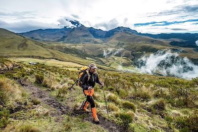 Vallée de Cocora - Parc national de Los Nevados - Colombie