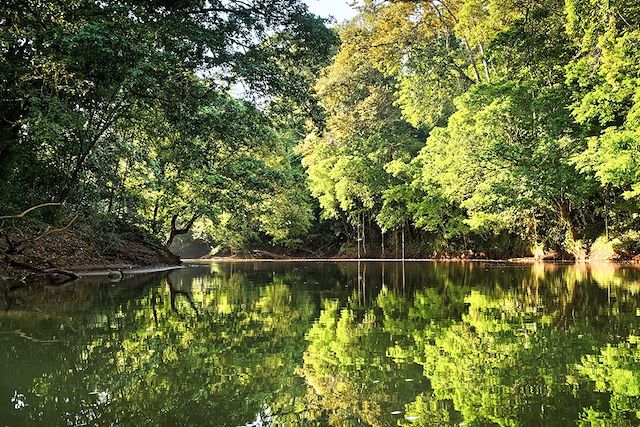 Voyage Van Life : sur les routes de la Pura Vida