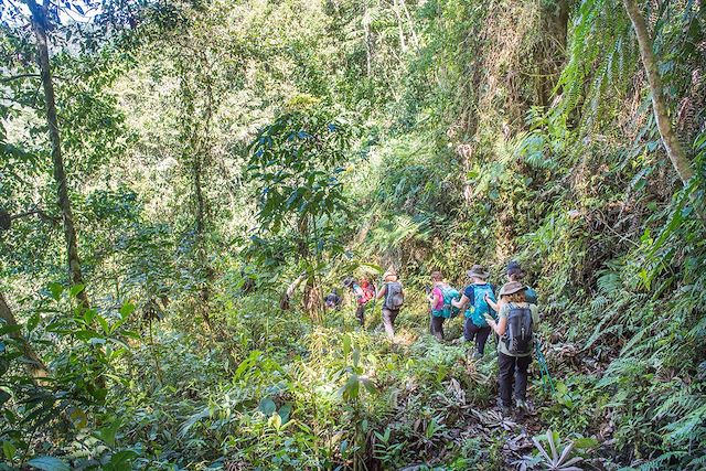 Voyage Trekking de Los Quetzales au Corcovado 