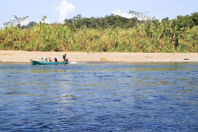 Voyage Petits baroudeurs sur la trace des singes hurleurs