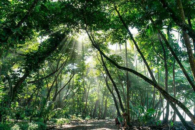 Voyage Nature et sensations fortes au Costa Rica