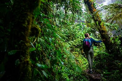 Jeune femme dans la jungle au Costa Rica