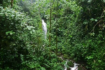 Parc National Arenal - Costa Rica