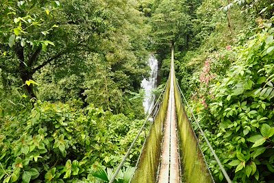 Pont suspendu à Los Campesinos - Costa Rica