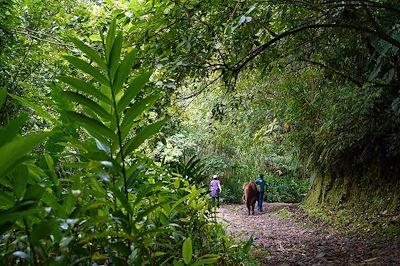 Autour de Turrialba - Costa Rica