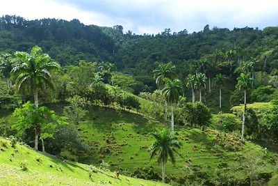 Le Parc Naturel de Topes de Collantes - Cuba