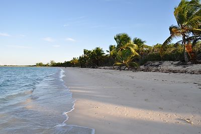 Cayo Las Brujas - Archipel Jardines del Rey - Cuba