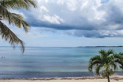 Playa Larga - Péninsule de Zapata - Cuba