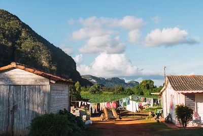 Linge en train de sécher - Vinales - Cuba