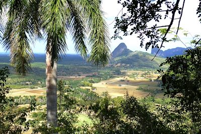 Randonnée vers la vallée de Pan de Azucar - Cuba