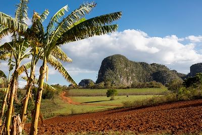 Vallée de Vinales - Cuba