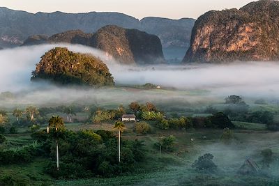 Pinar del Rio - Vallée de Vinales - Cuba