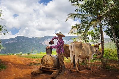 Fermier dans la région de Vinales - Cuba