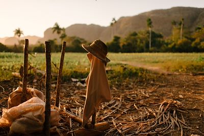 Ferme dans la vallée de Vinales - Cuba