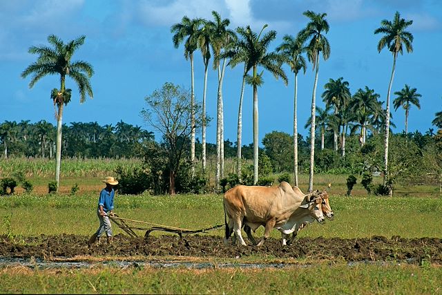 Voyage Culture, détente, immersion : l'île de Cuba à vélo