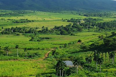 Vallée de Los Ingenios - Trinidad - Cuba